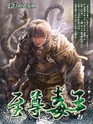 cover image of 至尊毒王13